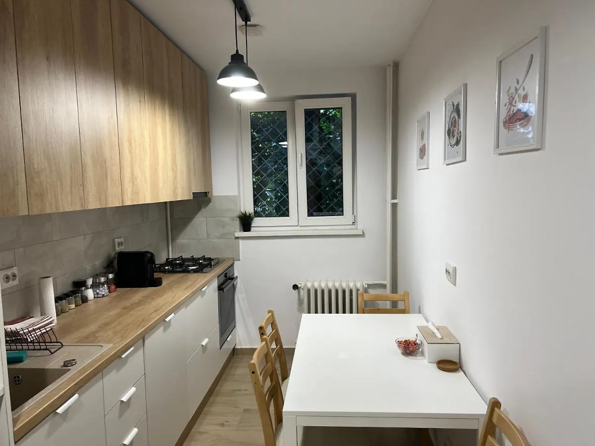 Rsa Apartment - Comfort Near City Centre Bukurešť